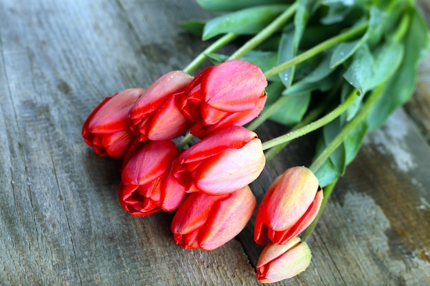 tulipany