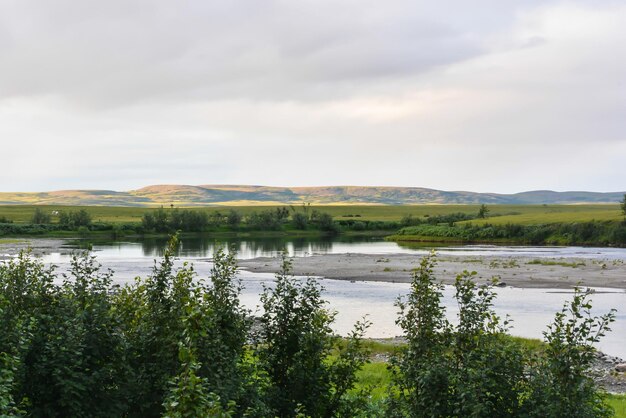 Tundra na Uralu Polarnym