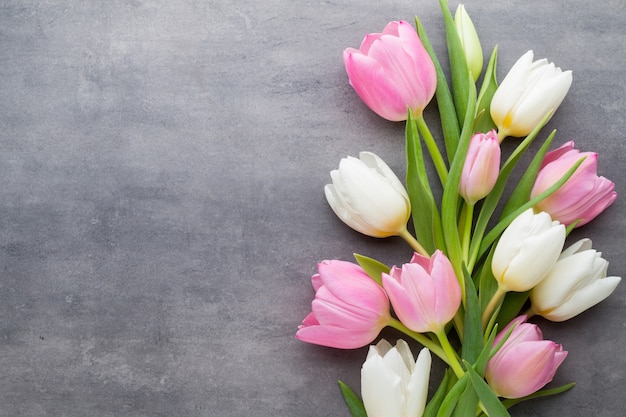 Tupils, białe i różowe na szarym tle. Wiosna z życzeniami.