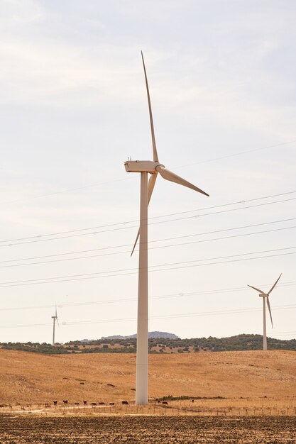 Turbina wiatrowa produkująca energię elektryczną w tej dziedzinie. Pojęcie energii odnawialnej. Kadyks, Hiszpania.