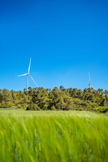 Turbina Wiatrowa Wyróżnia Się Nad Zieloną łąką