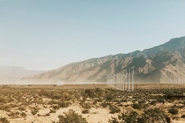 Turbiny wiatrowe na pustyni Palm Springs, USA