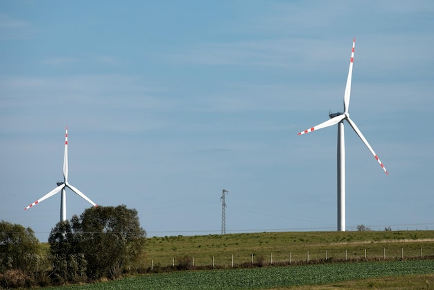 Turbiny wiatrowe na zielonych wzgórzach Grupa wiatraków do produkcji energii elektrycznej na zielono