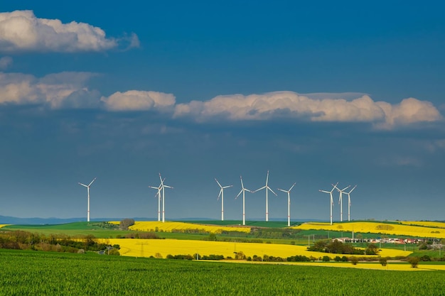 Turbiny wiatrowe w środku kwitnącego pola rzepaku wytwarzające odnawialną energię elektryczną chronią środowisko Deutchland