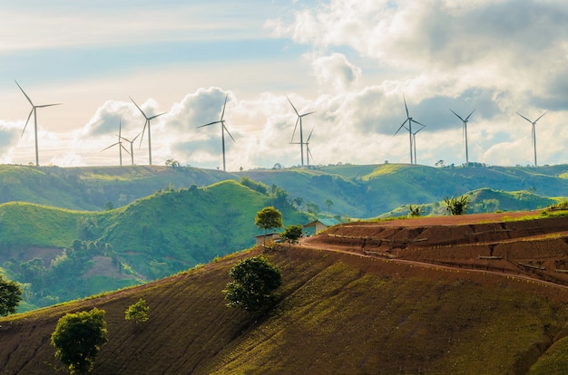 Turbiny wiatrowe wytwarzają energię elektryczną ze światłem słonecznym podczas zachodu słońca w tle