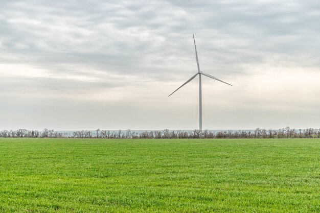 Turbiny wiatrowe wytwarzające energię elektryczną w zielonym polu