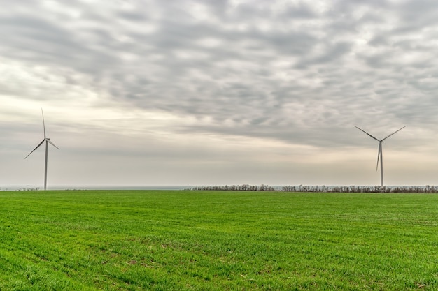 Turbiny wiatrowe wytwarzające energię elektryczną w zielonym polu