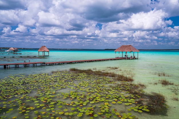 Turkusowa woda w Bacalar