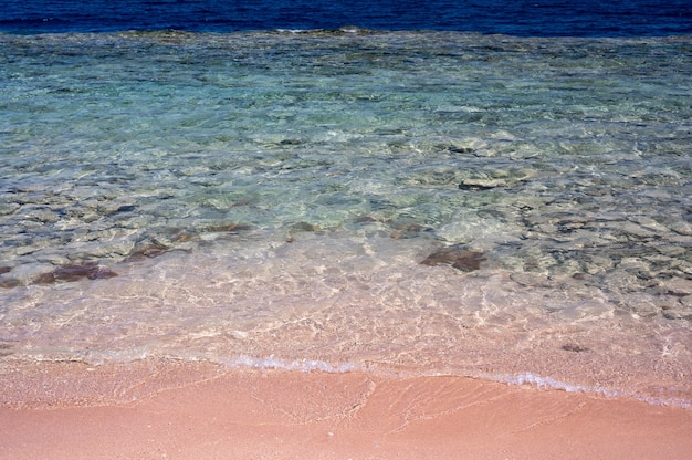 Turkusowe morze i plaża koralowa. Różowa plaża i fala powitalna. Krystalicznie czysta woda oceaniczna w Turkusowej Zatoce. Piękna plaża Ocean scena z niebieską falą na brzegu morza z odbiciem promieni słonecznych na wodzie.