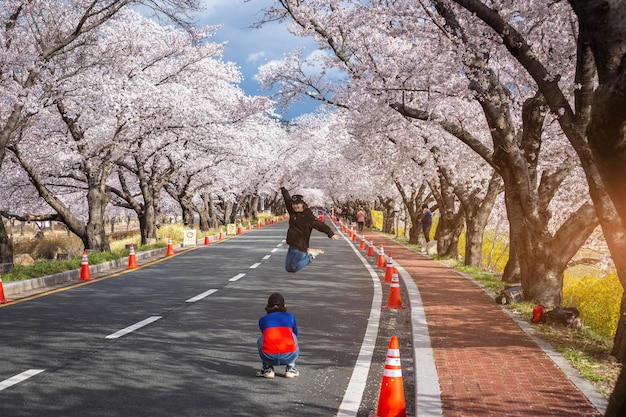 Turyści robią zdjęcia w tunelu kwiatów wiśni po obu stronach drogi w Gyeongju w Korei Południowej