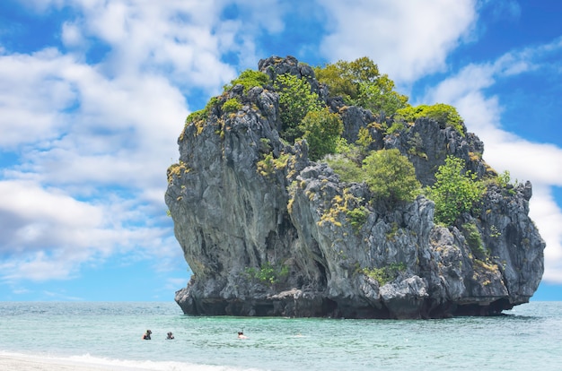 Turyści snorkeling w morzu przy koh Lankajiu, Chumphon, Tajlandia.