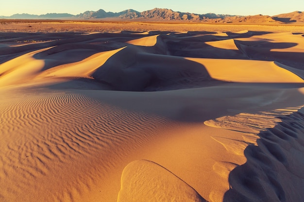 Turysta na piaszczystej pustyni. Czas wschodu słońca.