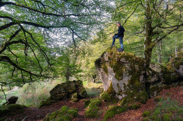 Turysta wspina się na dużą skałę i kontempluje piękny krajobraz lasu bukowego w Kraju Basków w Hiszpanii