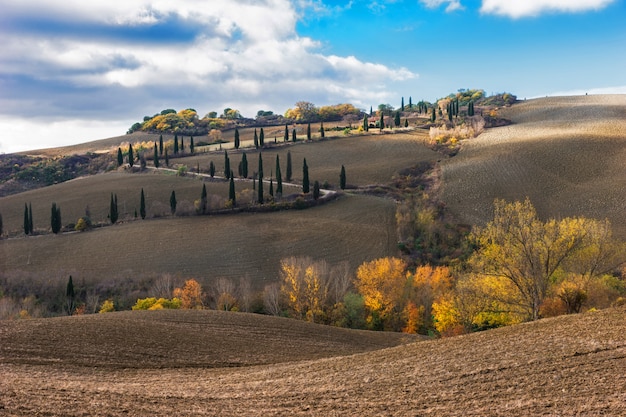 Zdjęcie tuscany droga z cyprysowymi drzewami, val d'orcia, włochy.