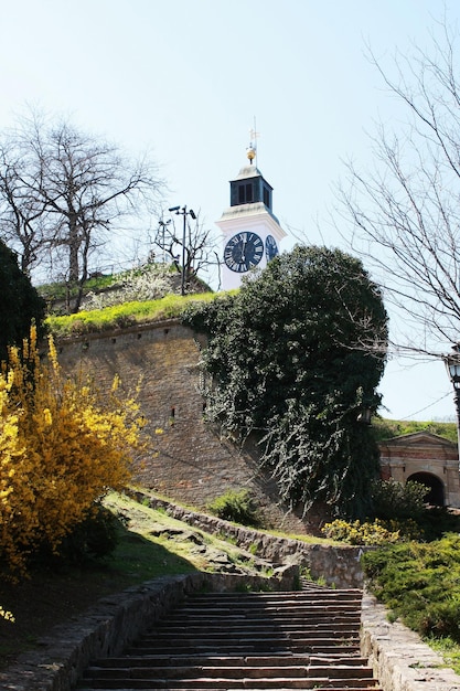 Twierdza Petrovaradin Nowy Sad Serbia Miejsce festiwalu wyjścia