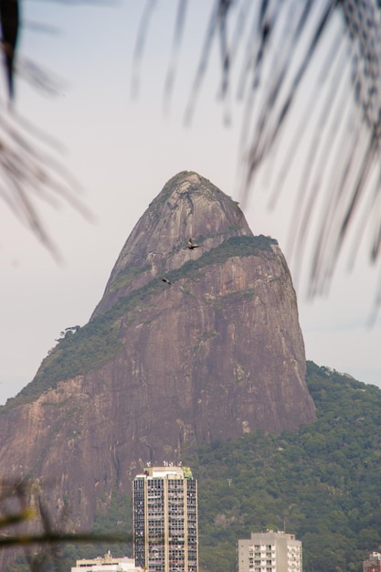 Two Hill Brother widziany z laguny Rodrigo de Freitas w Rio de Janeiro