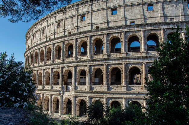 Tył Koloseum Rzym Włochy