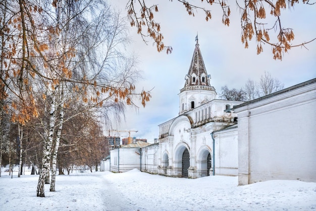 Tylna brama zima Izmailovsky park Bauman miasto Moskwa