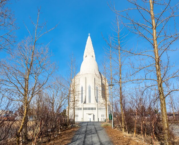 Tylna strona kościoła Hallgrimskirkja pod pochmurnym porannym błękitnym niebem Reykjavik na Islandii