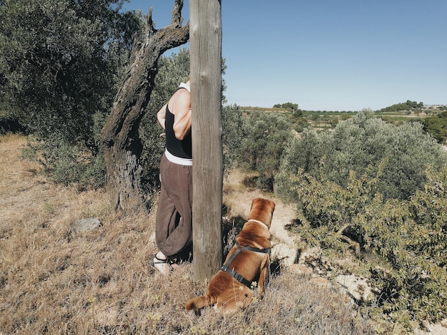 Zdjęcie tylny widok człowieka z psem ukrywającym się przy pniu drzewa