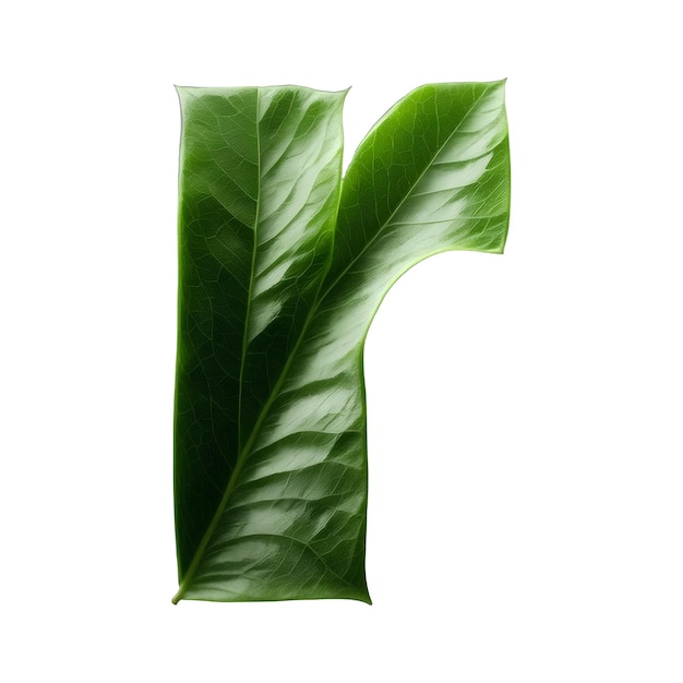 Typografia zielonego liścia projekt tekstu małych liter alfabetu r