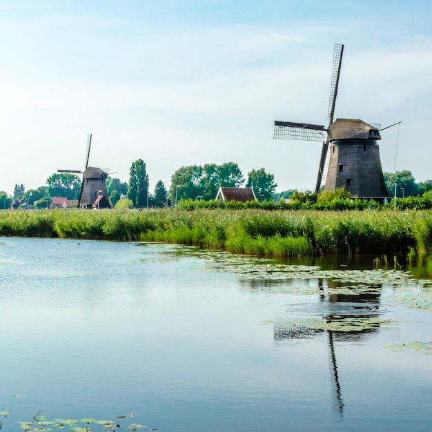 Typowy holenderski krajobraz w Alkmaar w Holandii