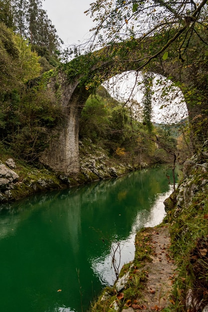 Typowy krajobraz Asturii Stock Photo