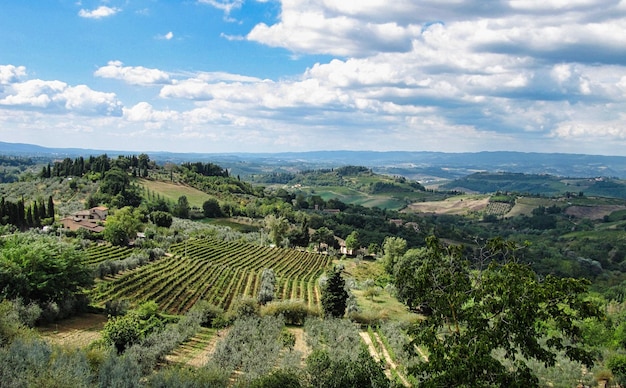 Typowy krajobraz Toskanii we Włoszech