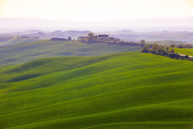 Typowy toskański krajobraz