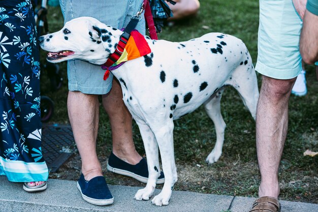 Uczestnik Dof Gay Pride W Madrycie 2019