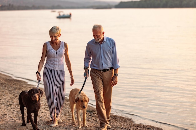 Ujęcie szczęśliwej pary seniorów spacerującej nad rzeką z psami