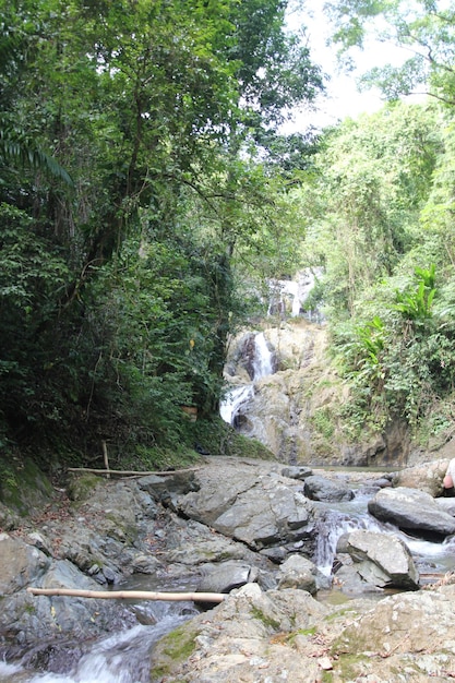 Ujęcie wodospadów Argyle na Karaibach, Roxborough, Trynidad i Tobago