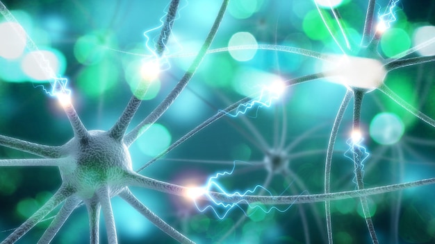 Układ nerwowy ludzkiego mózgu i ilustracja naukowa