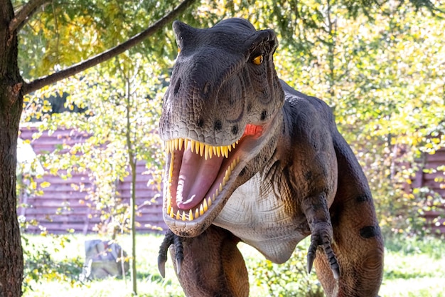 Ukraina, Chmielnicki, październik 2021. Model dinozaura w parku. Gigantyczny tyranozaur na wystawie w parku w słoneczny letni dzień, głowa dinozaura