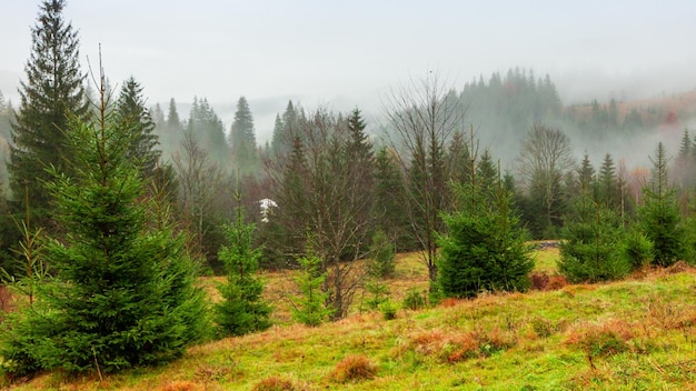 Ukraina Karpaty Upływ czasu porannej mgły w jesiennych górach Krajobraz z ośnieżonymi górami i działającą mgłą