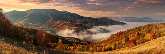 Zdjęcie ukraina magiczny jesienny wschód słońca z mgłą pełzającą nad dolinami ponad formacjami górskimi z dala od cywilizacji przełęcz synewyr położona w karpatach