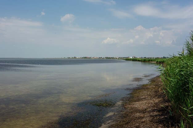 Ukraina Utlyuk estuarium widok na wieś Stepok Shore pokryte trzciną