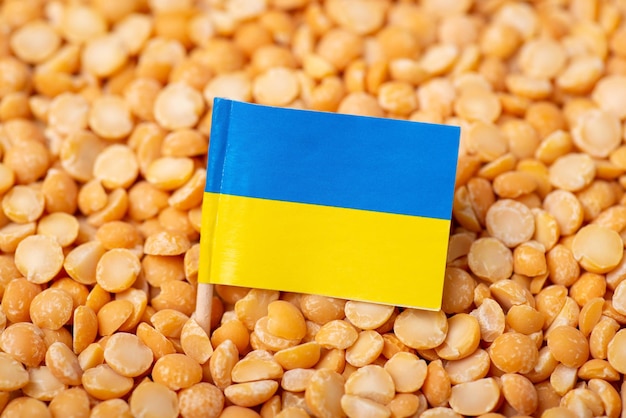 Ukraińska flaga na żółtym groszku
