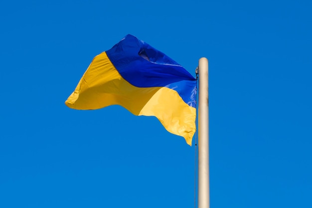 Ukraińska flaga w żółtych i niebieskich kolorach rozgałęzia się na wietrze na tle nieba