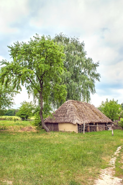 Ukraińska stodoła drewniana Kryta strzechą zamknięta do góry