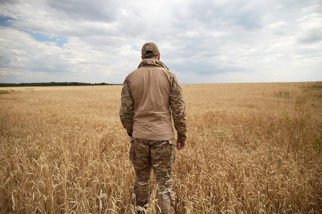 Ukraiński wojskowy na polu pszenicy Ukraińskie pola pszenicy i wojna zbliżający się kryzys żywnościowy Siły Zbrojne Ukrainy