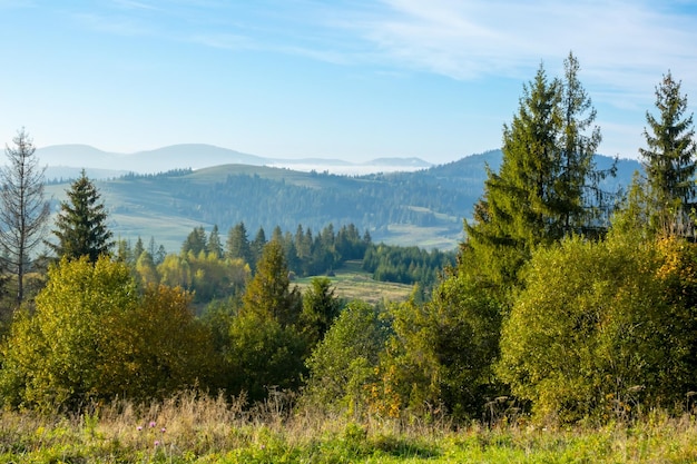 Ukraińskie Karpaty i wczesny letni poranek