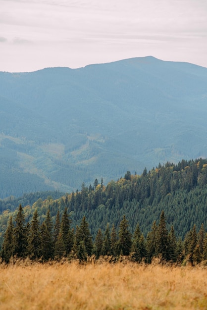 Ukraińskie Karpaty jesienią