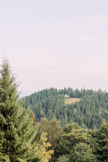 Ukraińskie Karpaty jesienią