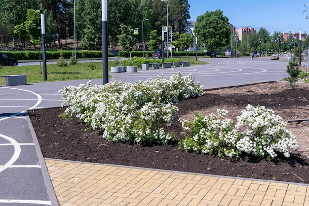 Ulepszenie Krajobrazu Parku Miejskiego Miasta