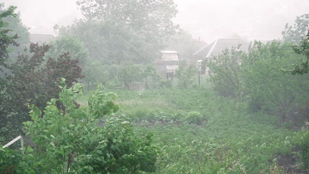 Ulewny deszcz leje się na dach domu Burzowy deszcz na wsi Krople deszczu burzowego spadają na dach domu Padający deszcz na dachu domu