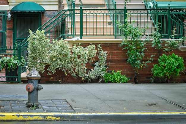 Ulica Harlem. Hydrant, drzwi i schody domowe. NYC, USA