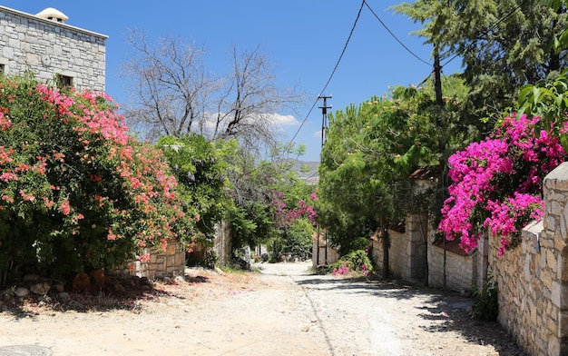 Ulica w Old Datca Mugla Turcja