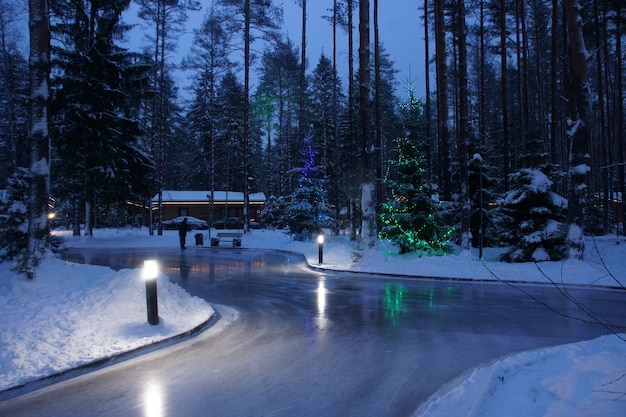 Uliczne Lodowisko W środku Lasu Z Jasnymi Lampionami