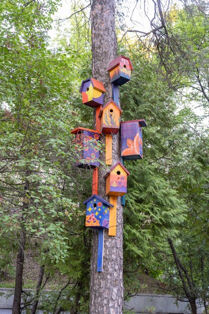 Uljanowsk, Rosja - 25 Lipca 2021: śmieszne Malowane Birdhouses Na Drzewie. Ręcznie Robiona Drewniana Budka Lęgowa.